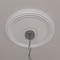 Ekena Millwork Diane Ceiling Medallion (Fits Canopies up to 5 3/8"), 18"OD x 3 5/8"ID x 1 1/8"P, Primed White CM18DI - alternate 10
